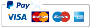 Paypal company logo